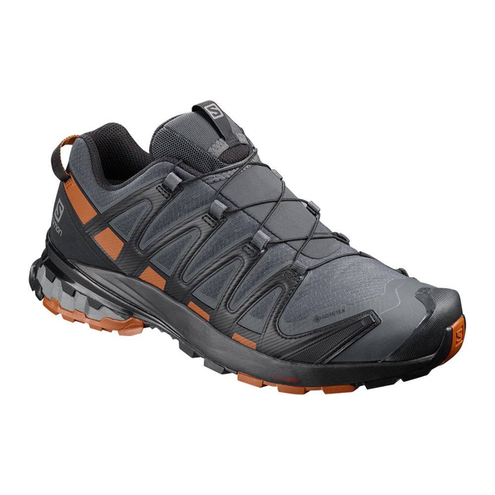 Salomon Xa Pro 3d V8 Gtx - Ebony/Caramel Cafe/Black - Click Image to Close