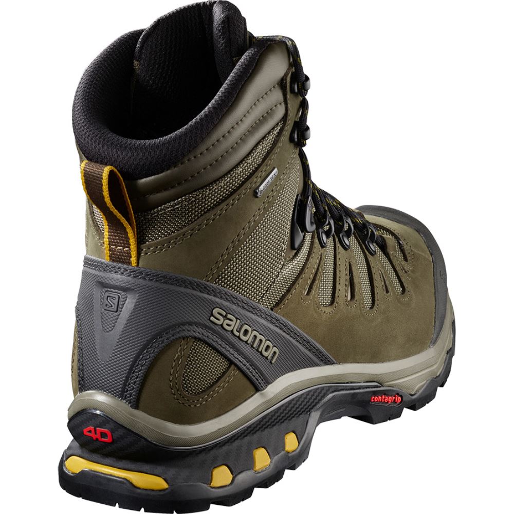 Salomon Quest 4d 3 Gtx - Wren/Bungee Cord/Green Sulphur