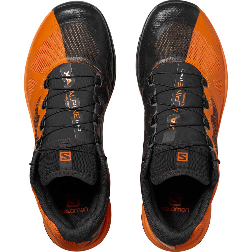 Salomon X Alpine /Pro - Phantom/Russet Orange/Russet Orange