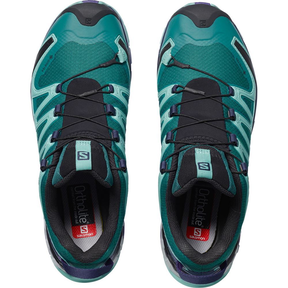 Salomon Xa Pro 3d V8 Gtx W - Shaded Spruce/Evening Blue/Meadowbrook