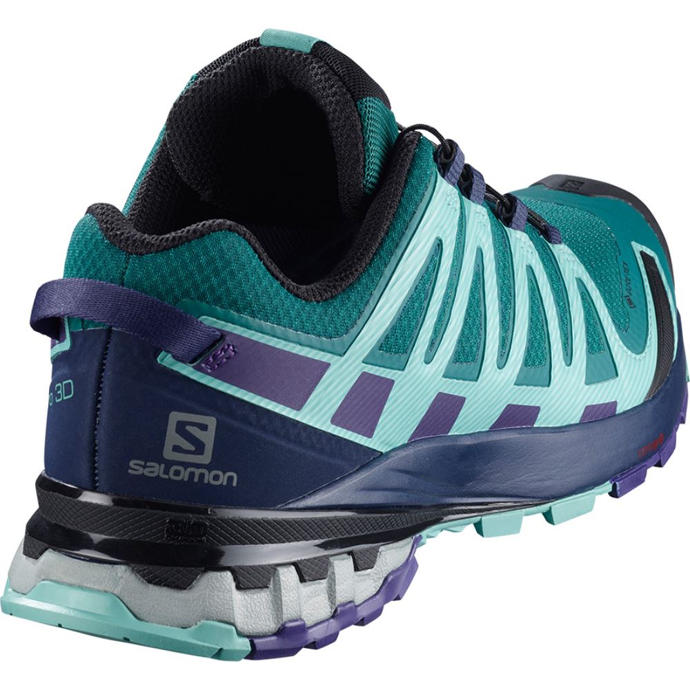 Salomon Xa Pro 3d V8 Gtx W - Shaded Spruce/Evening Blue/Meadowbrook