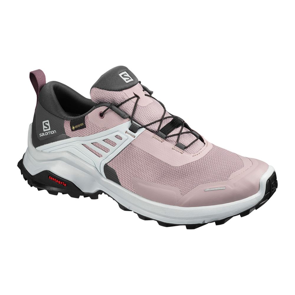 Salomon X Raise Gtx W - Quail/India Ink/Flint - Click Image to Close