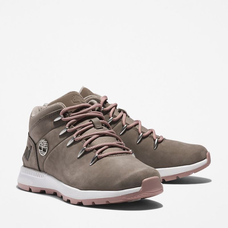 Timberland Sprint Trekker Hiking Boot for Women in Greige