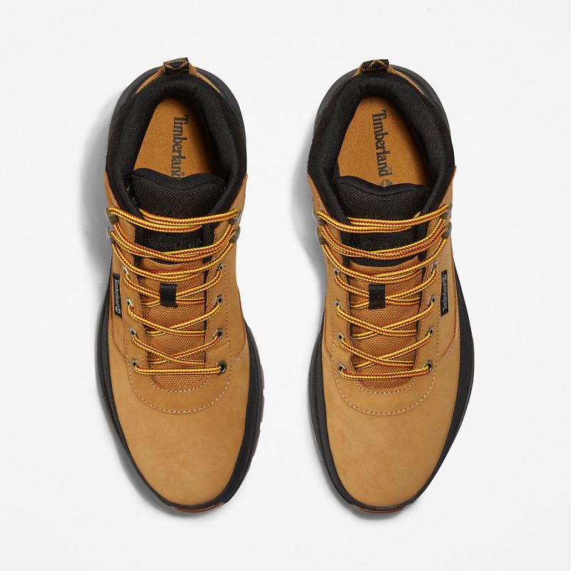 Timberland Field Trekker Chukka for Men in Yellow