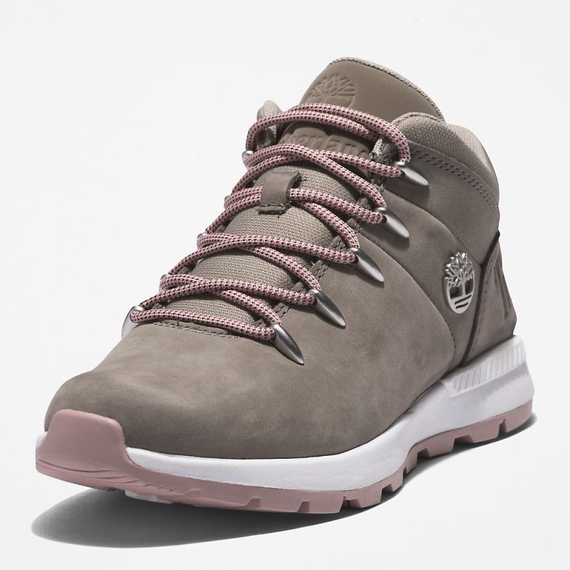 Timberland Sprint Trekker Hiking Boot for Women in Greige