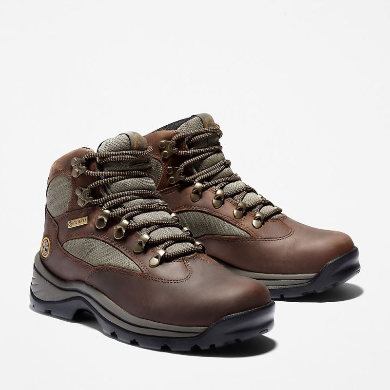 Timberland Chocorua Gore-Tex? Hiker for Women in Brown