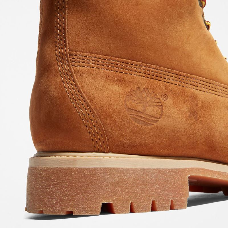 Timberland Premium 6 Inch Boot for Men in Brown