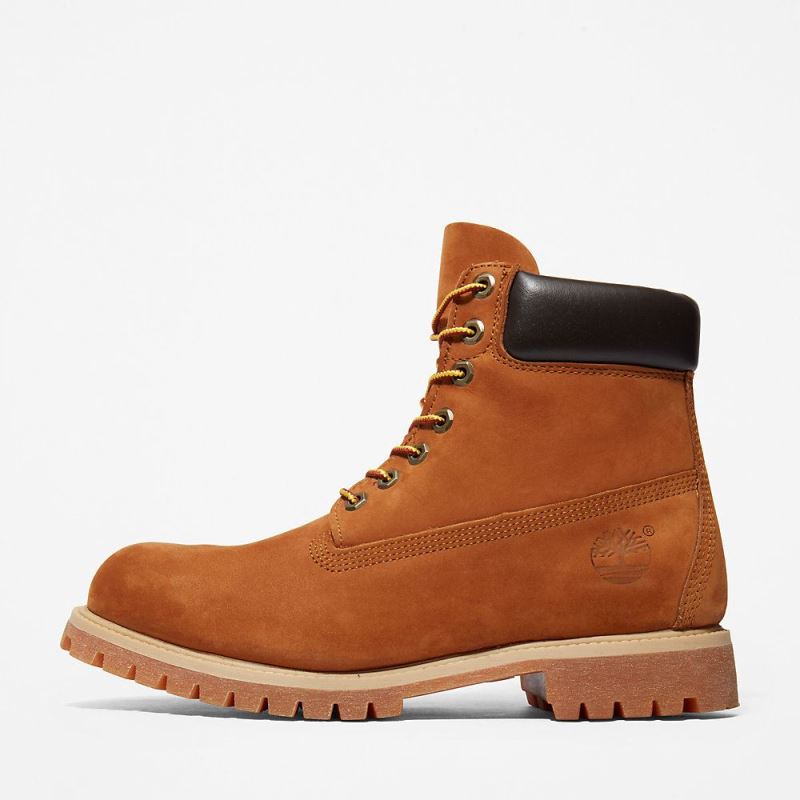 Timberland Premium 6 Inch Boot for Men in Brown