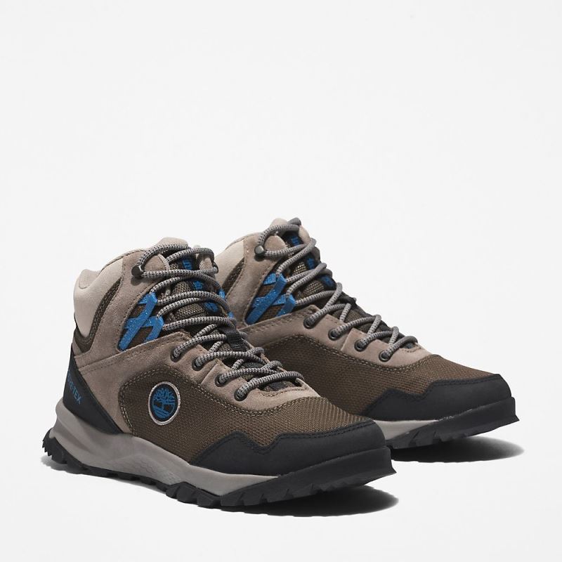 Timberland Lincoln Peak Gore-Tex? Hiking Boot for Women in Grey