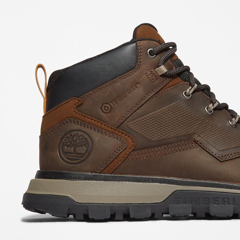 Timberland Treeline Hiker for Men in Dark Brown