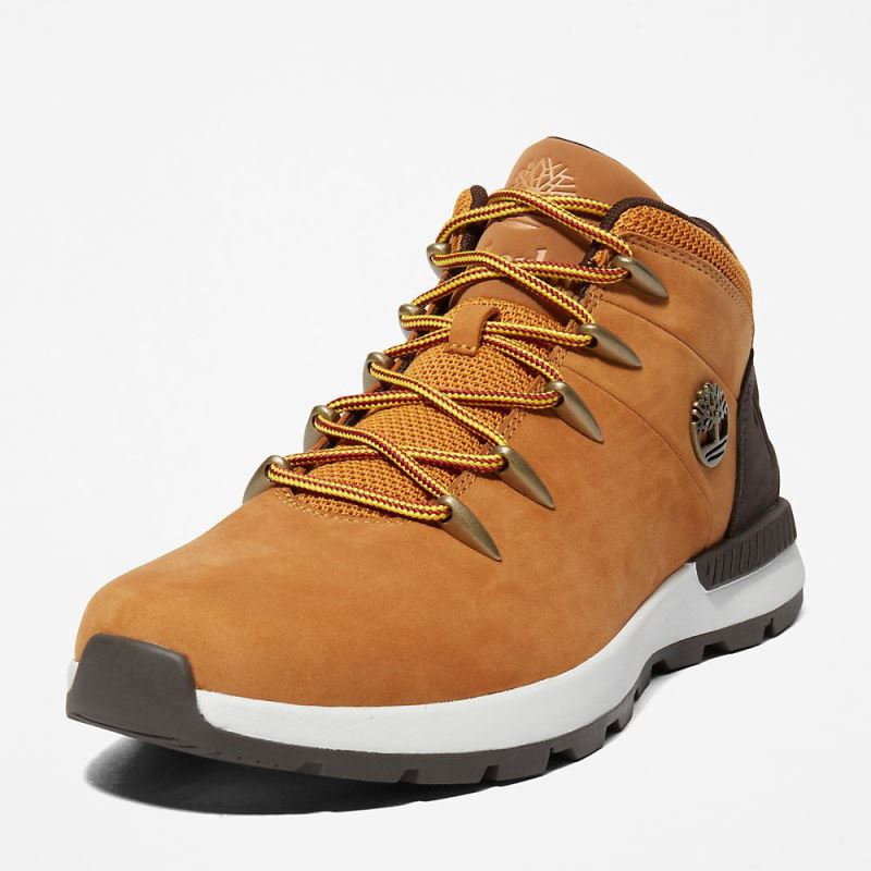 Timberland Sprint Trekker Hiking Boot for Men in Yellow