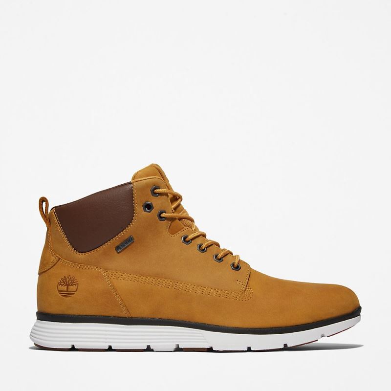 Timberland Killington Gore-Tex? Chukka for Men in Yellow