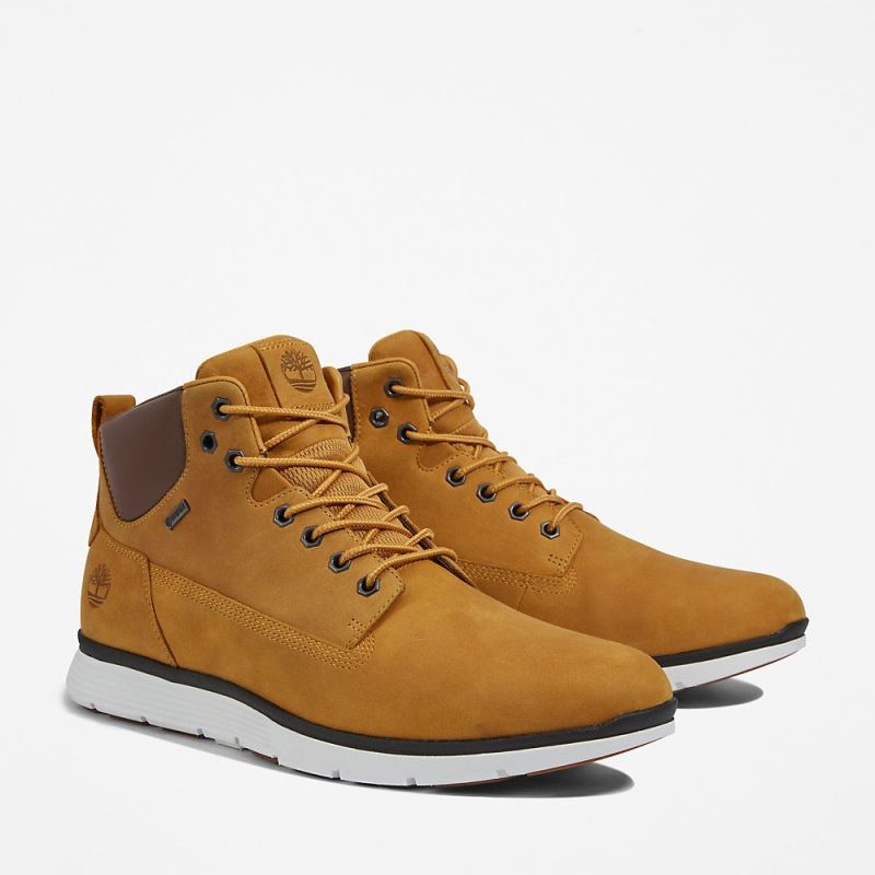 Timberland Killington Gore-Tex? Chukka for Men in Yellow