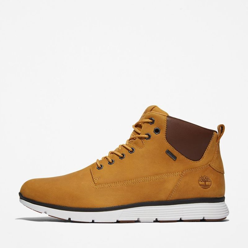 Timberland Killington Gore-Tex? Chukka for Men in Yellow