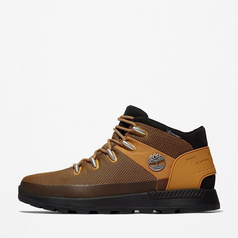 Timberland Sprint Trekker Chukka for Men in Yellow