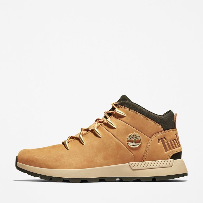 Timberland Sprint Trekker Chukka for Men in Yellow