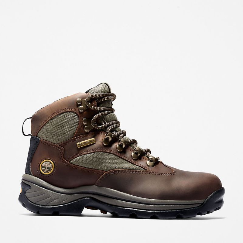 Timberland Chocorua Gore-Tex? Hiker for Women in Brown