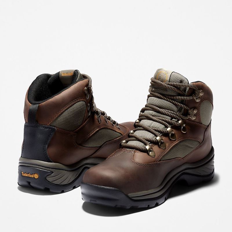 Timberland Chocorua Gore-Tex? Hiker for Women in Brown