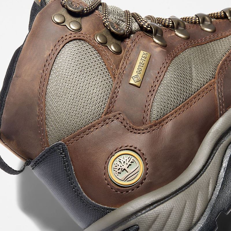 Timberland Chocorua Gore-Tex? Hiker for Women in Brown