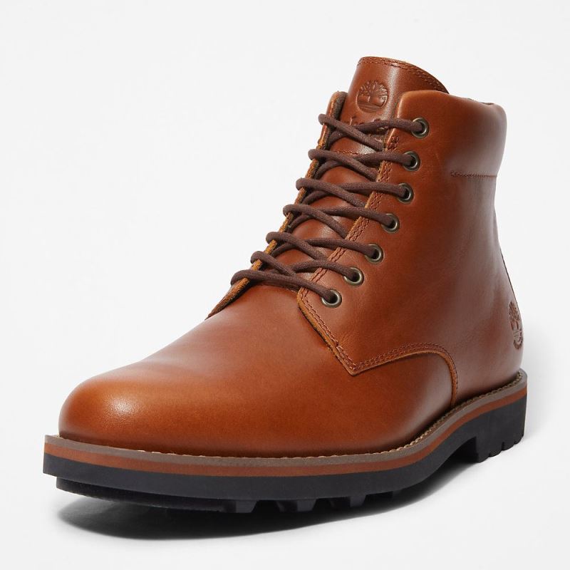 Timberland Alden Brook Side-zip Boot for Men in Dark Brown