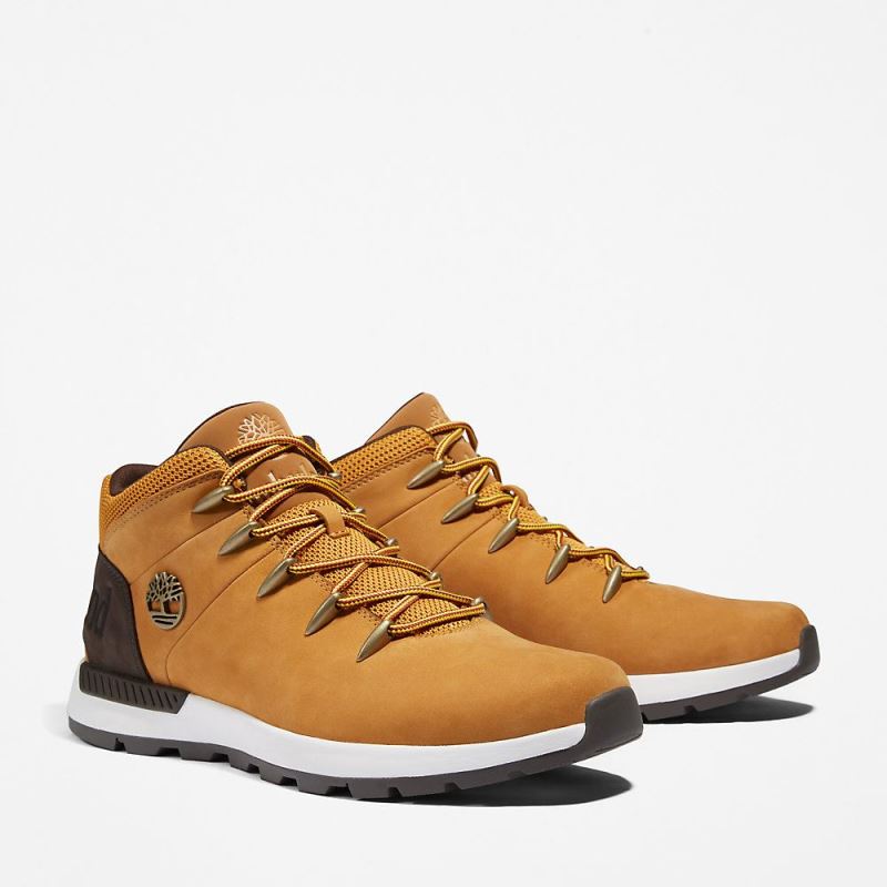 Timberland Sprint Trekker Hiking Boot for Men in Yellow