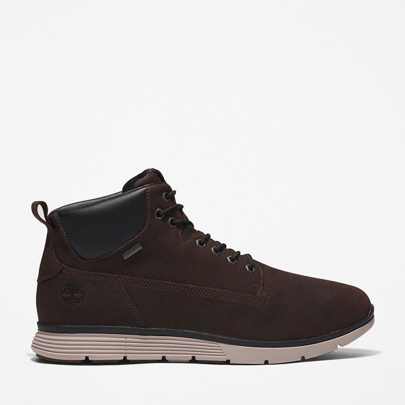 Timberland Killington Gore-Tex? Chukka for Men in Brown