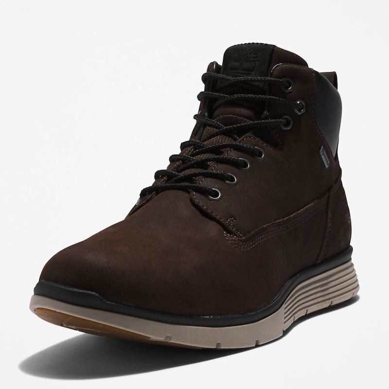 Timberland Killington Gore-Tex? Chukka for Men in Brown