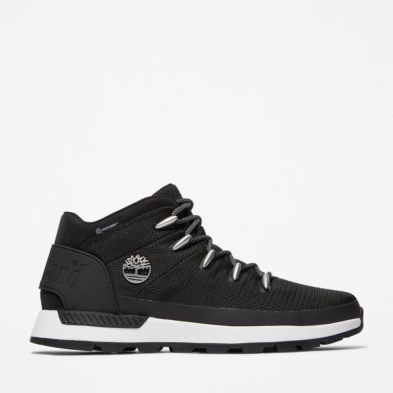 Timberland Sprint Trekker Chukka for Men in Black