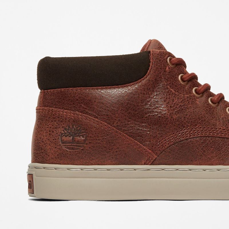 Timberland Adventure 2.0 Chukka for Men in Brown