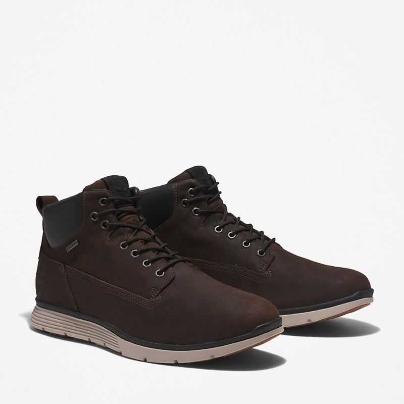 Timberland Killington Gore-Tex? Chukka for Men in Brown