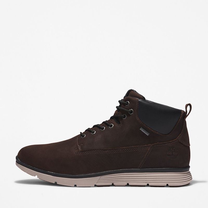 Timberland Killington Gore-Tex? Chukka for Men in Brown