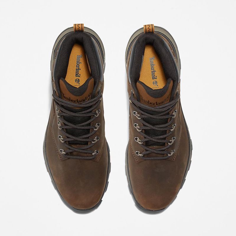 Timberland Treeline Hiker for Men in Dark Brown