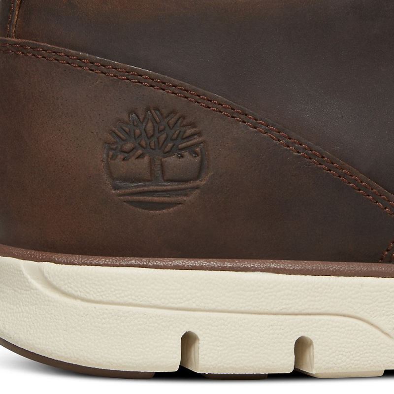 Timberland Bradstreet Chukka for Men in Dark Brown