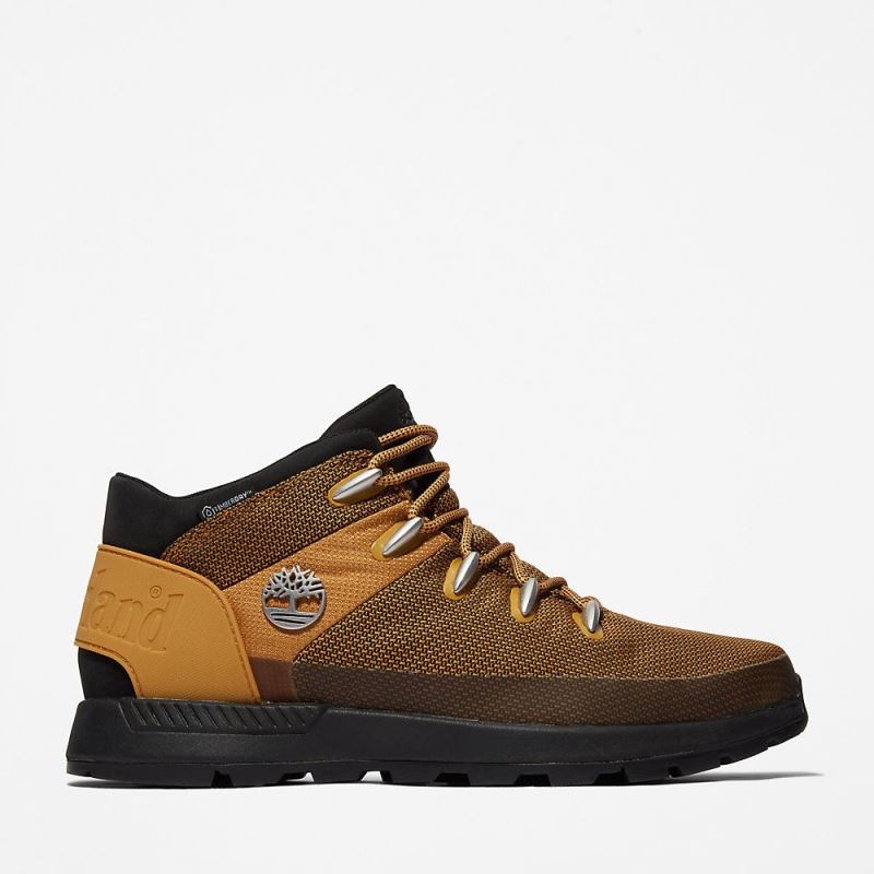 Timberland Sprint Trekker Chukka for Men in Yellow