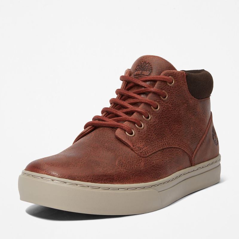 Timberland Adventure 2.0 Chukka for Men in Brown