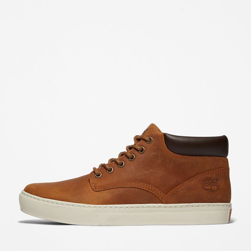 Timberland Adventure 2.0 Chukka for Men in Light Brown