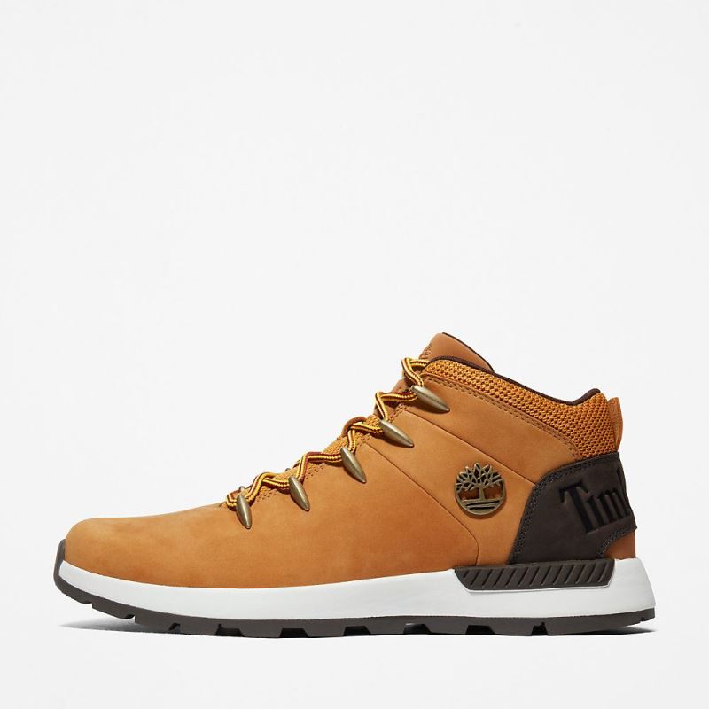 Timberland Sprint Trekker Hiking Boot for Men in Yellow