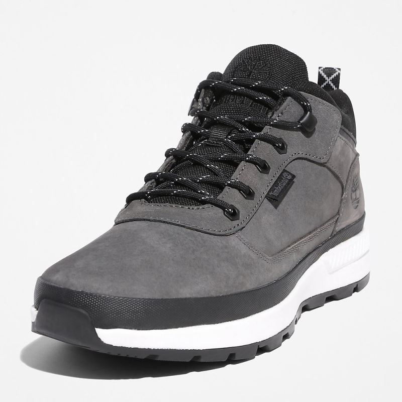 Timberland Field Trekker Low Hiker for Men in Grey