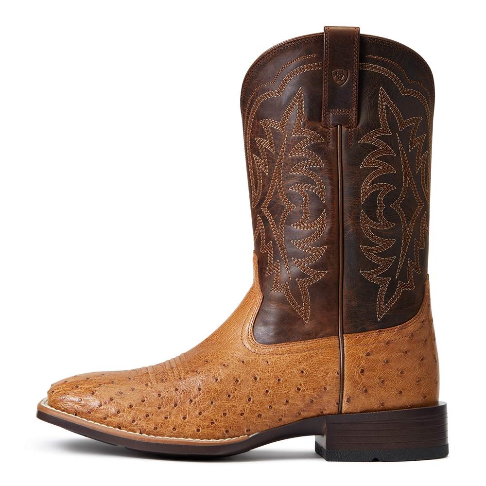 Ariat Night Life Ultra Western Boot - RANGER SMOOTH QUILL OSTRICH