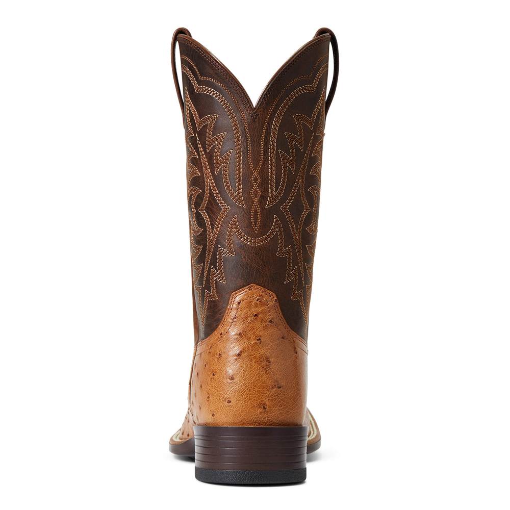 Ariat Night Life Ultra Western Boot - RANGER SMOOTH QUILL OSTRICH