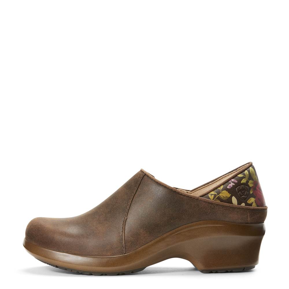 Ariat Hera Expert Clog - ANTIQUE BROWN