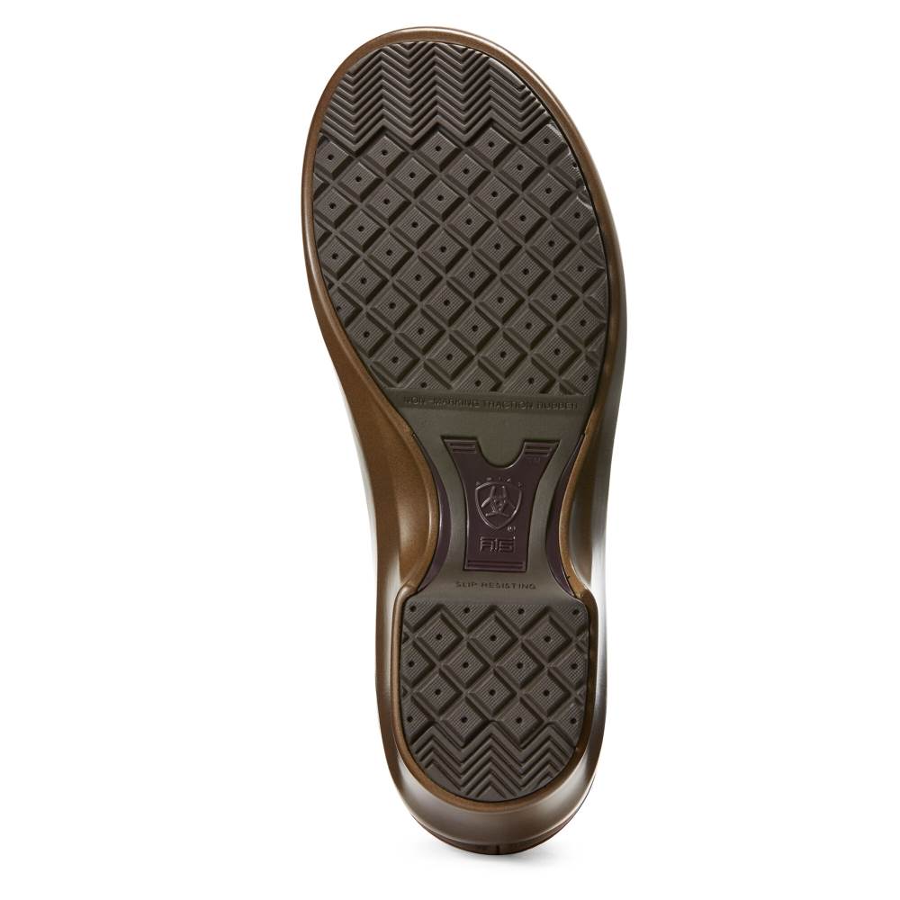 Ariat Hera Expert Clog - ANTIQUE BROWN