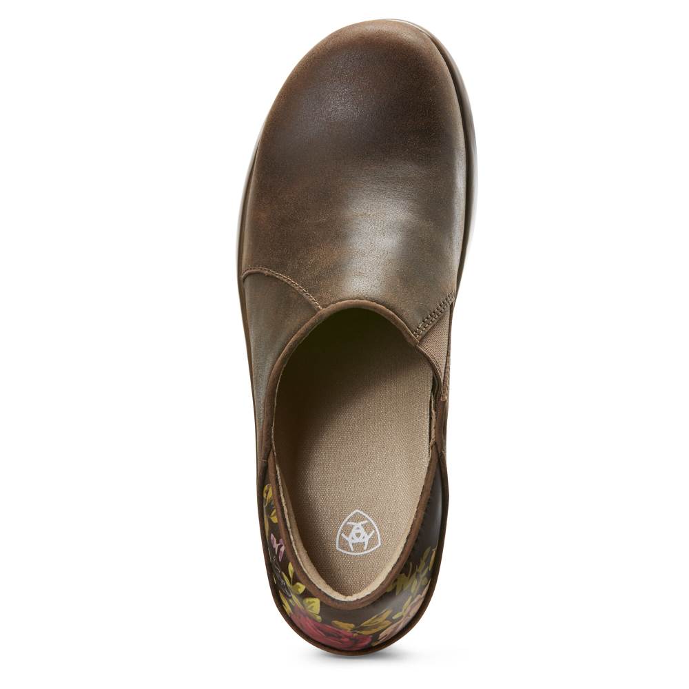 Ariat Hera Expert Clog - ANTIQUE BROWN