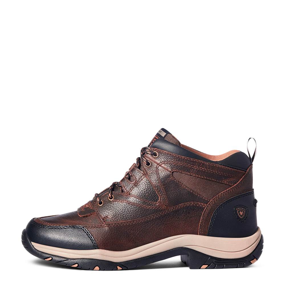 Ariat Terrain - BROWN OILED ROWDY